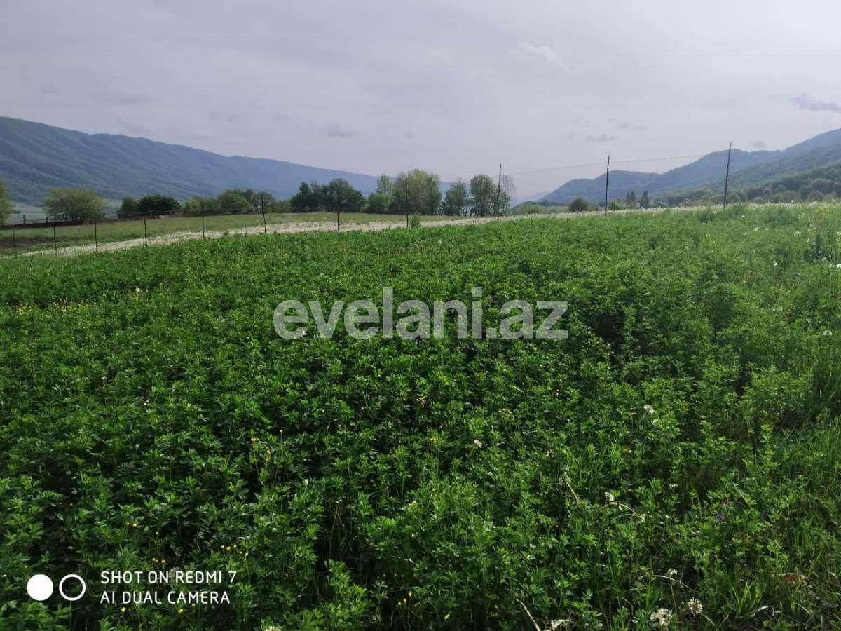 Satılır, torpaq, 29 sot, Qusar