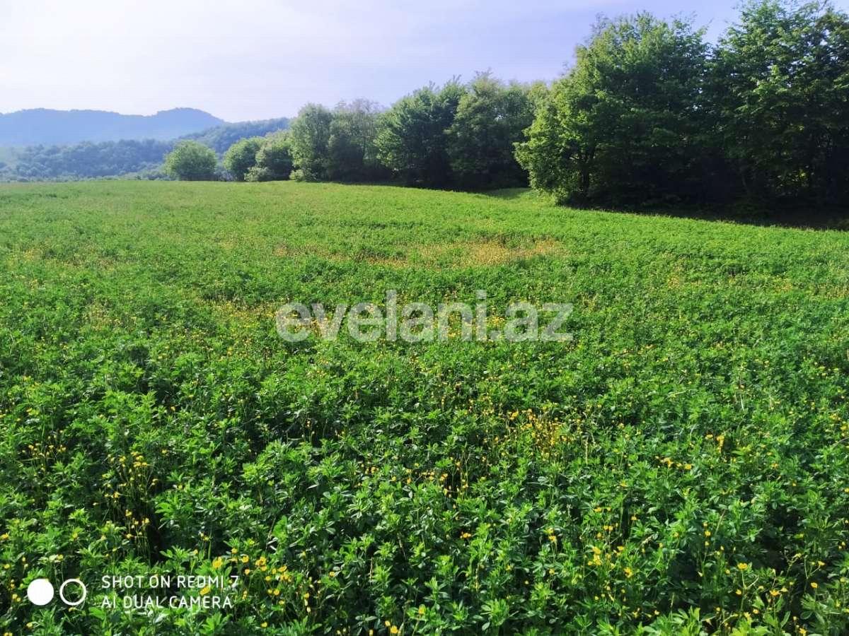 Satılır, torpaq, 29 sot, Qusar