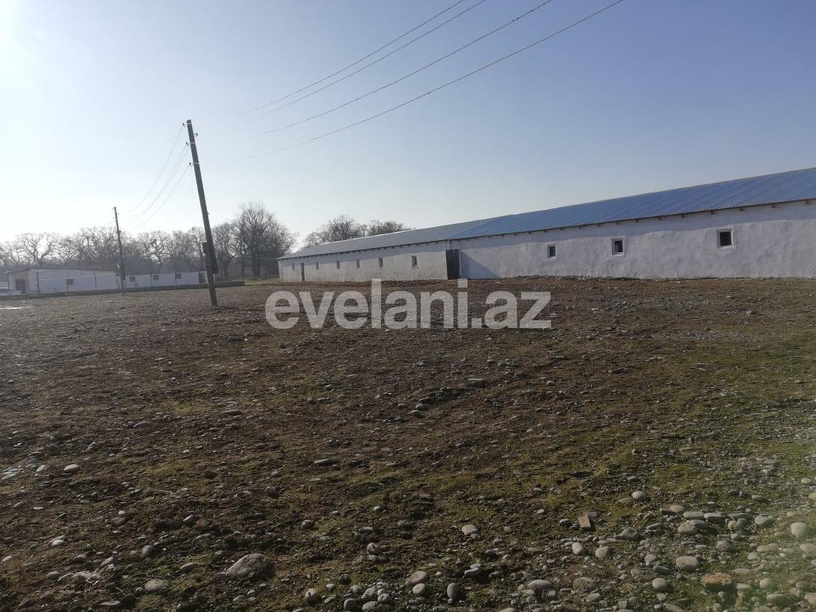 Satılır, obyekt, 4200 m², Xudat