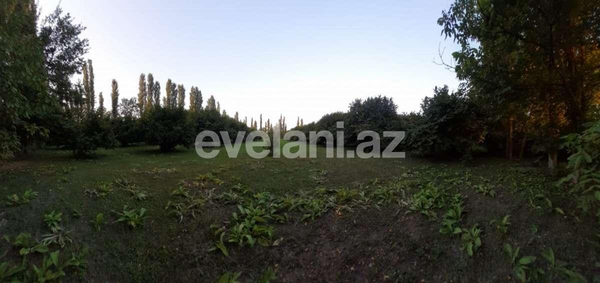 Satılır, torpaq, 60 sot, Qəbələ