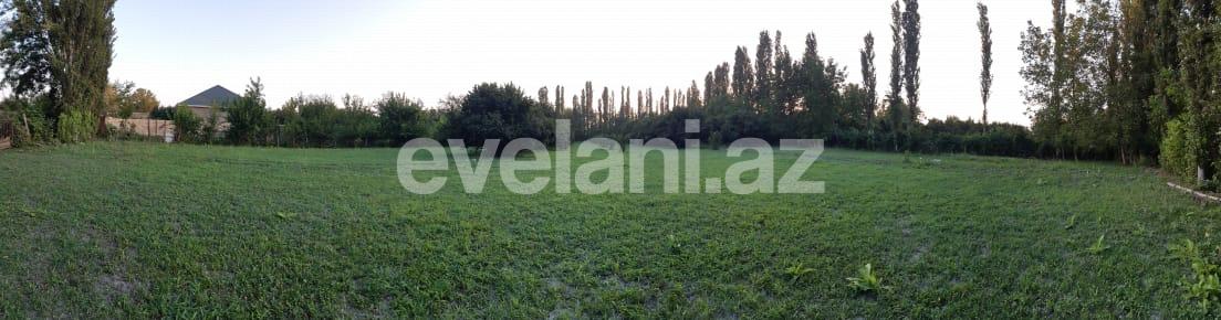 Satılır, torpaq, 60 sot, Qəbələ