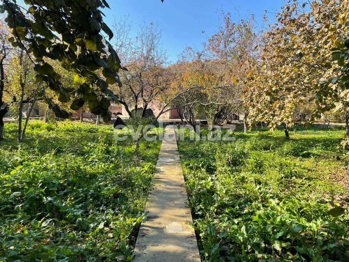 Satılır, yeni tikili, 3 otaqlı, 65 m², Qəbələ