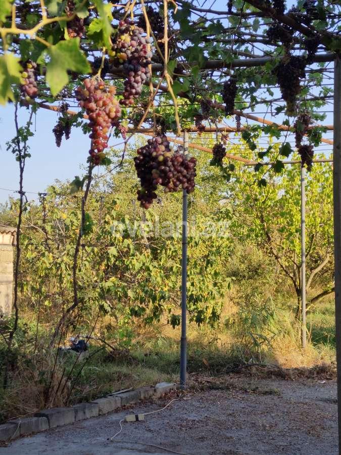 Satılır, həyət evi / bağ, 2 otaqlı, 73 m², Xaçmaz