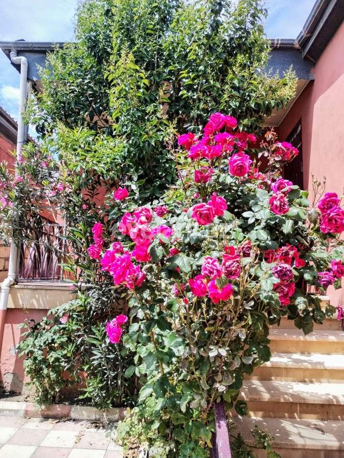 Satılır, yeni tikili, 3 otaqlı, 100 m², Bakı, Binəqədi r, Sulutəpə q.