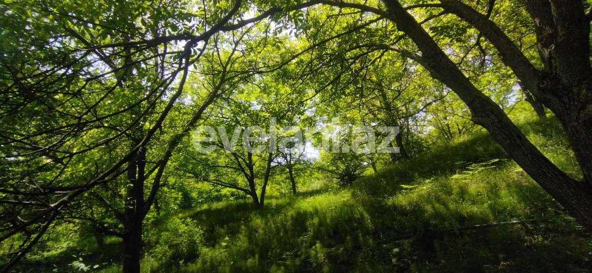 Satılır, həyət evi / bağ, 3 otaqlı, 80 m², İsmayıllı