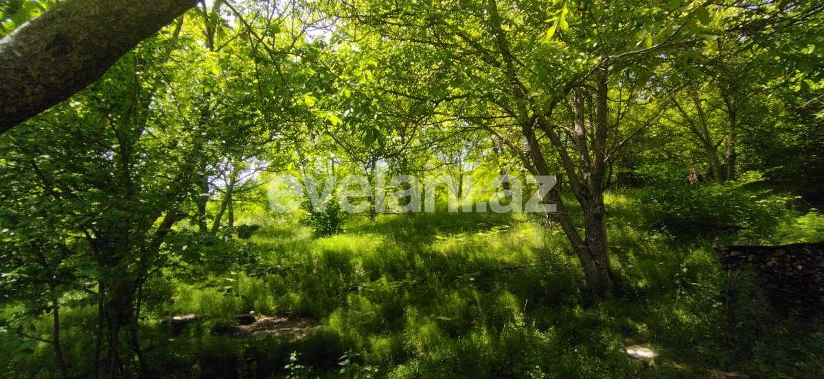 Satılır, həyət evi / bağ, 3 otaqlı, 80 m², İsmayıllı