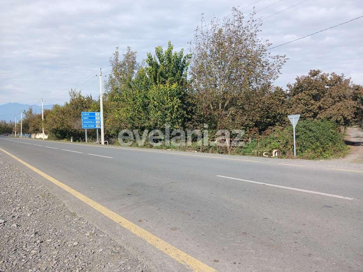 Satılır, torpaq, 60 sot, Qəbələ