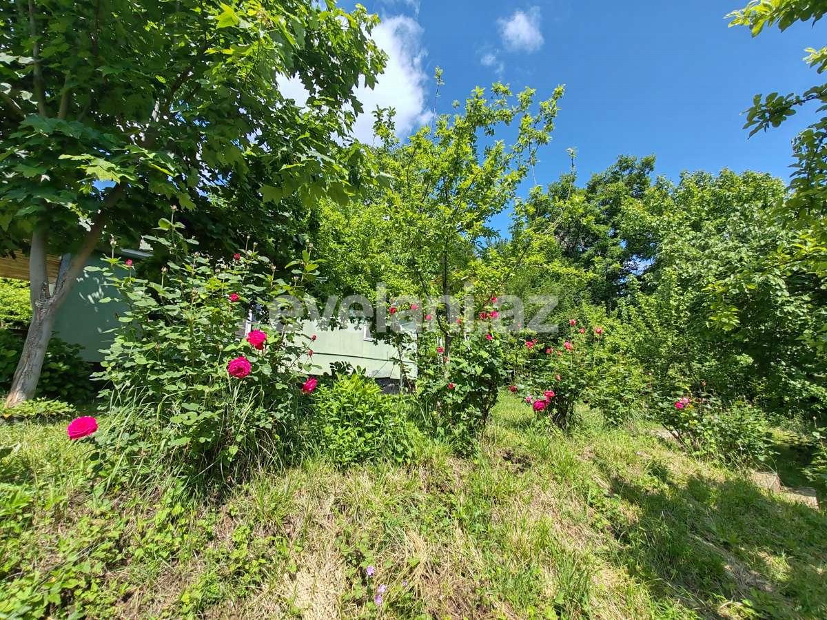 Kirayə verilir, həyət evi / bağ, 3 otaqlı, 180 m², Qəbələ