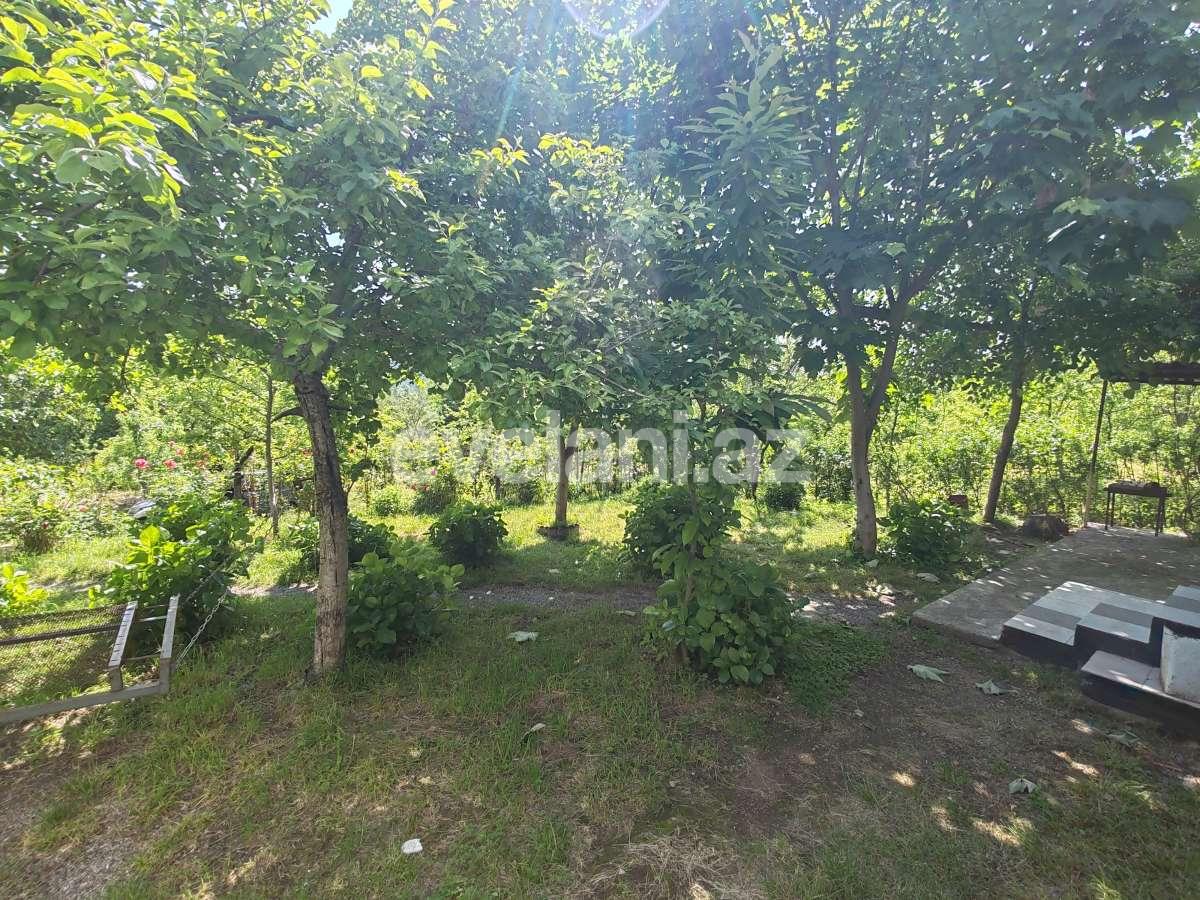 Kirayə verilir, həyət evi / bağ, 3 otaqlı, 180 m², Qəbələ