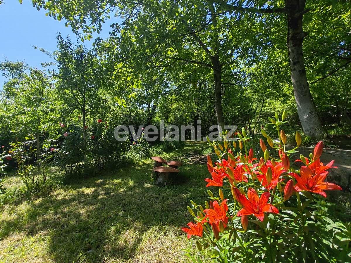 Kirayə verilir, həyət evi / bağ, 2 otaqlı, 120 m², Qəbələ