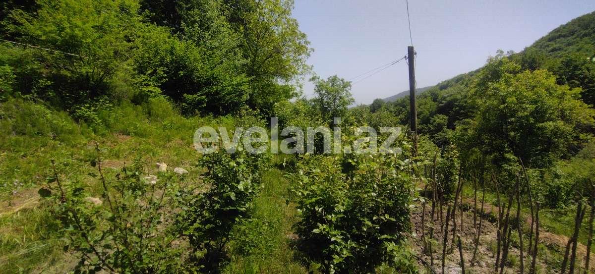 Satılır, həyət evi / bağ, 3 otaqlı, 80 m², İsmayıllı