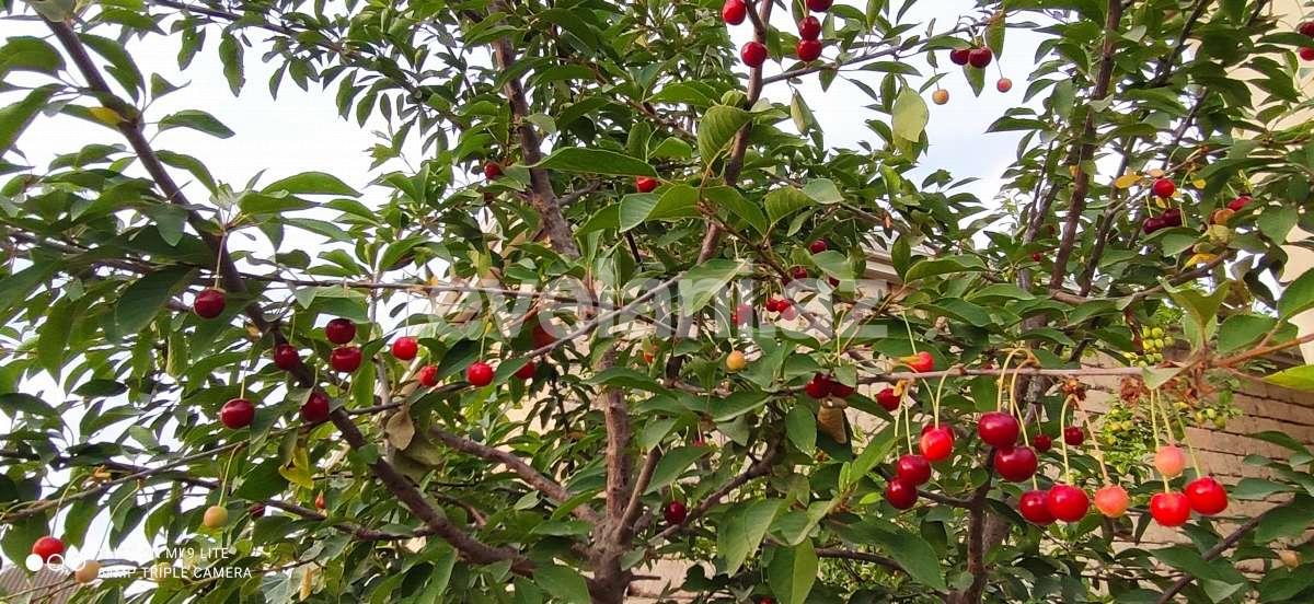 Satılır, həyət evi / bağ, 5 otaqlı, 180 m², Bakı, Sabunçu r, Maştağa q.