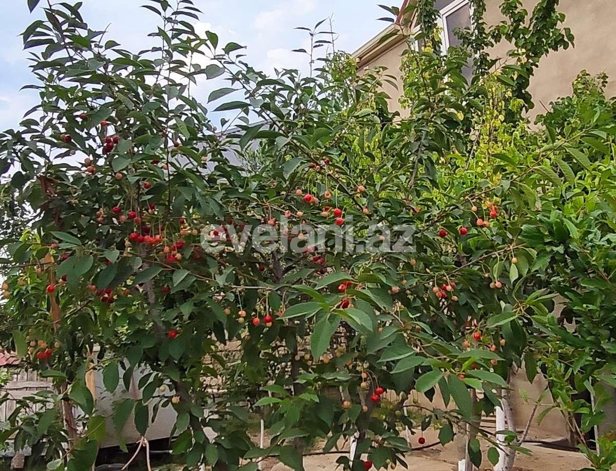 Satılır, həyət evi / bağ, 5 otaqlı, 180 m², Bakı, Sabunçu r, Maştağa q.