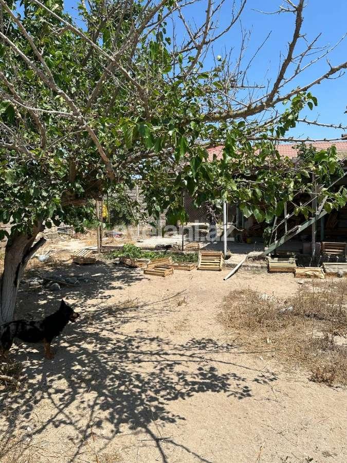 Продаётся, дом / дача, 2-комнаты, 18.99 m², Баку, Хазарский r, Тюркан p.