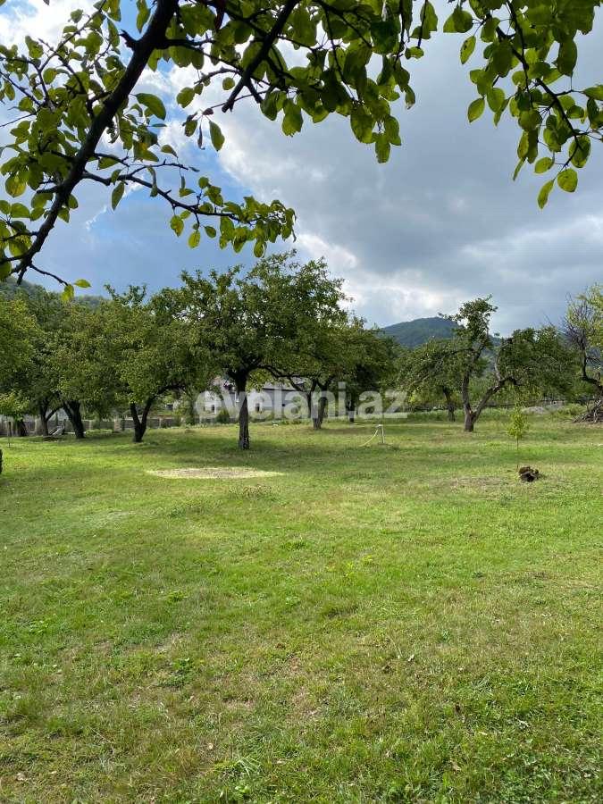 Rent, garden / house, 4 room, 100 m², Ismayilli