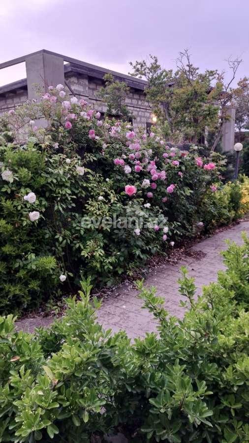 Kirayə verilir, həyət evi / bağ, 3 otaqlı, 120 m², Bakı, Xəzər r, Türkan q.