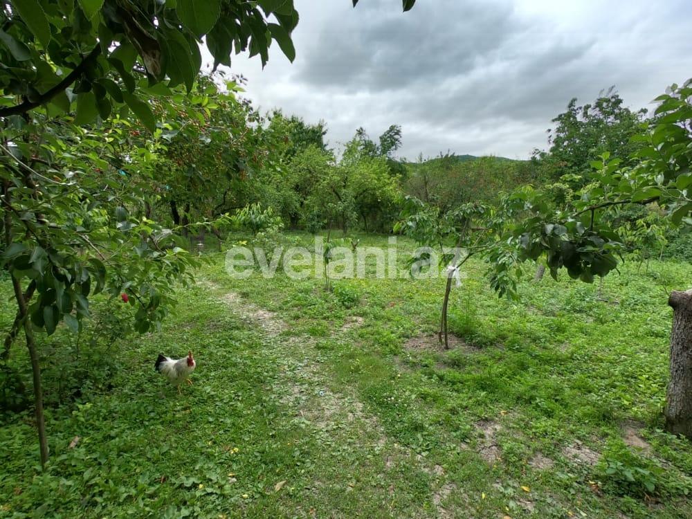 Rent, garden / house, 3 room, 100 m², Guba