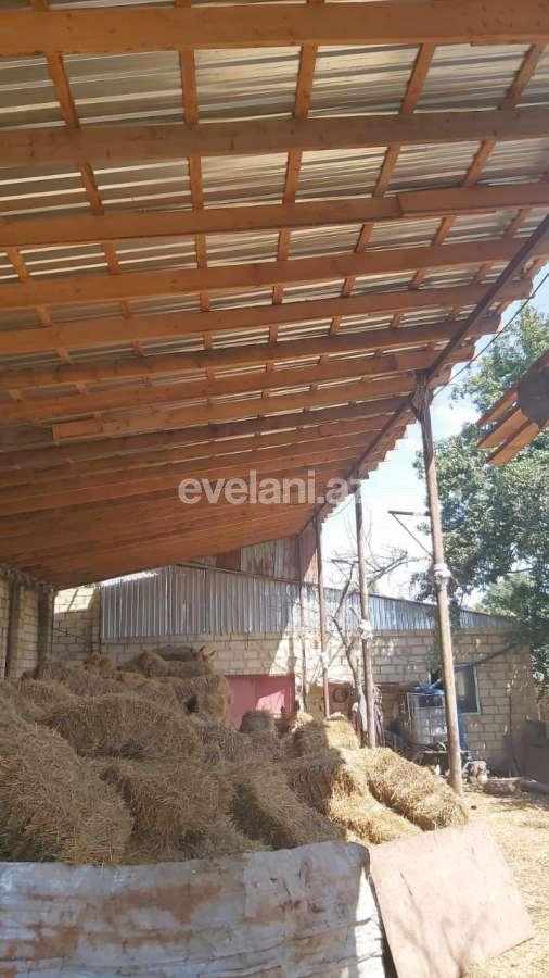 Satılır, obyekt, 800 m², Gəncə