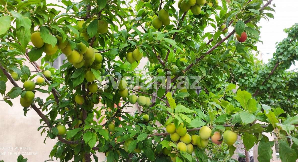 Satılır, həyət evi / bağ, 5 otaqlı, 180 m², Bakı, Sabunçu r, Maştağa q.