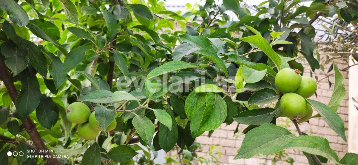 Satılır, həyət evi / bağ, 5 otaqlı, 180 m², Bakı, Sabunçu r, Maştağa q.