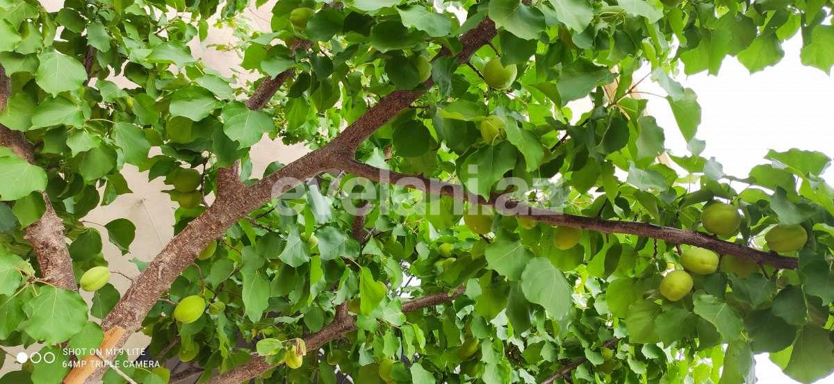 Satılır, həyət evi / bağ, 5 otaqlı, 180 m², Bakı, Sabunçu r, Maştağa q.