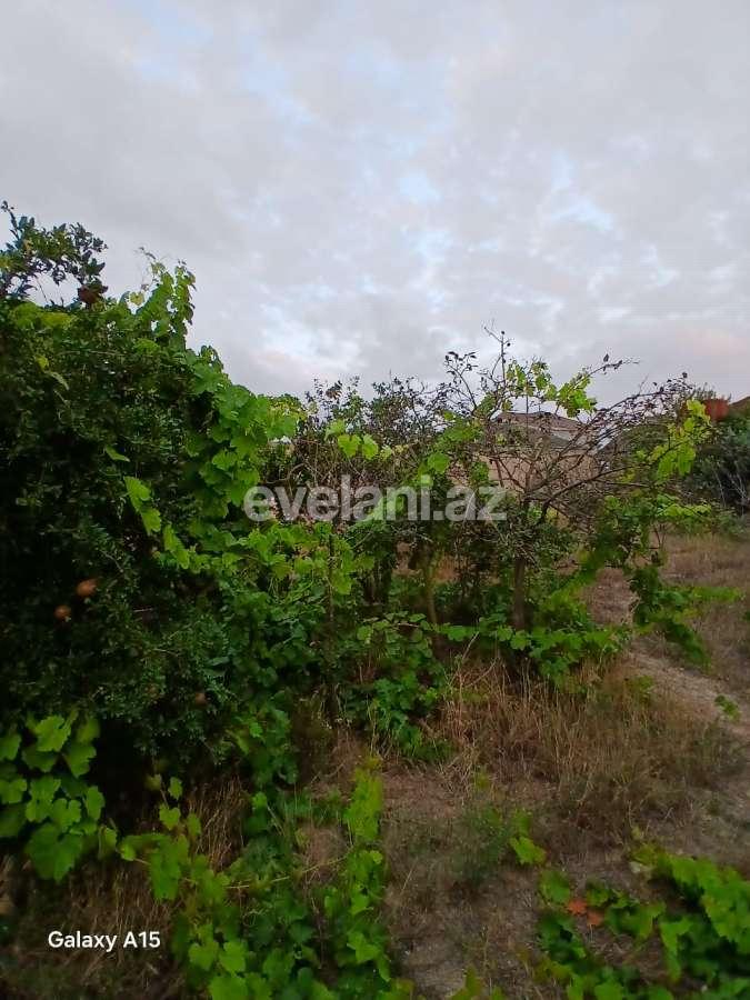 Satılır, torpaq, 6 sot, Bakı, Xəzər r, Buzovna q, Koroğlu m.