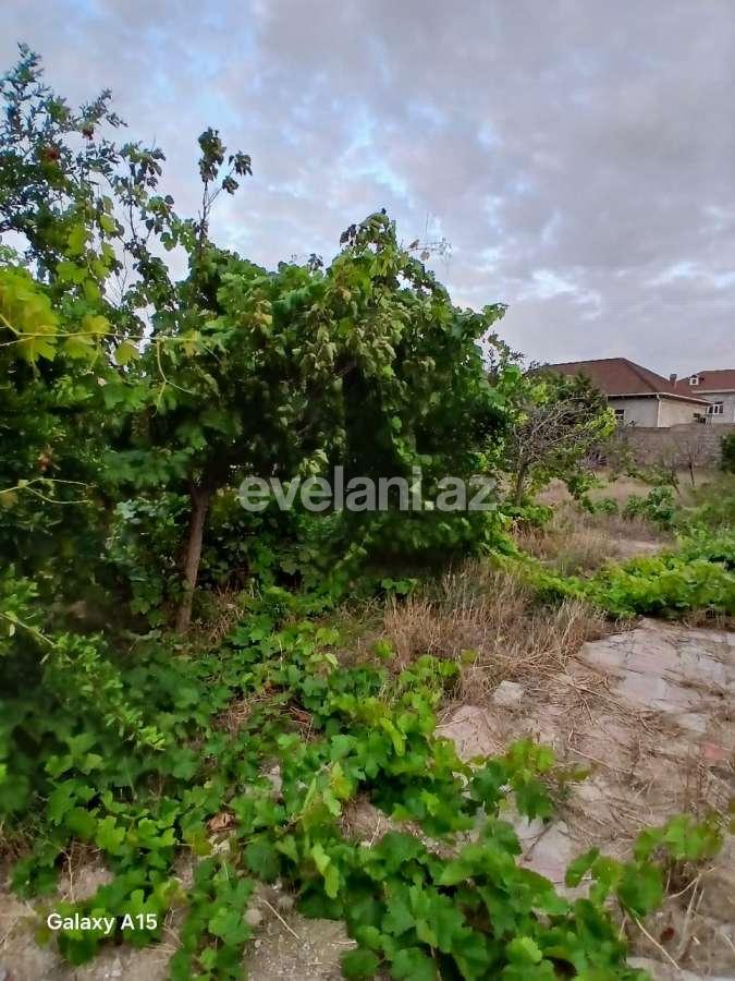 Satılır, torpaq, 6 sot, Bakı, Xəzər r, Buzovna q, Koroğlu m.