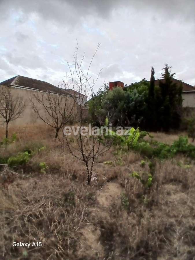 Satılır, torpaq, 6 sot, Bakı, Xəzər r, Buzovna q, Koroğlu m.