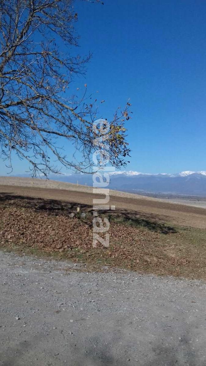 Satılır, torpaq, 250 sot, İsmayıllı