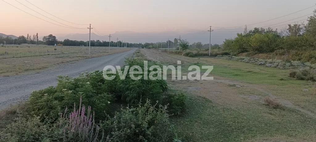 Satılır, torpaq, 400 sot, Qəbələ