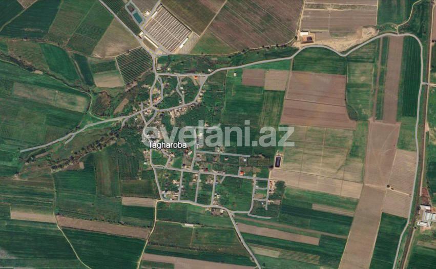 Satılır, torpaq, 262 sot, Xaçmaz