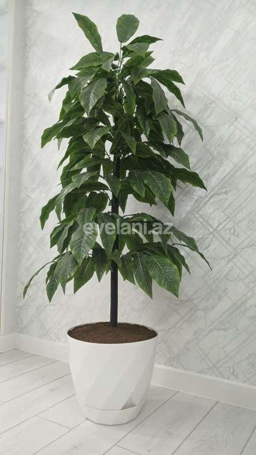 Satılır, yeni tikili, 2 otaqlı, 50 m², Bakı, Abşeron r, Masazır q.