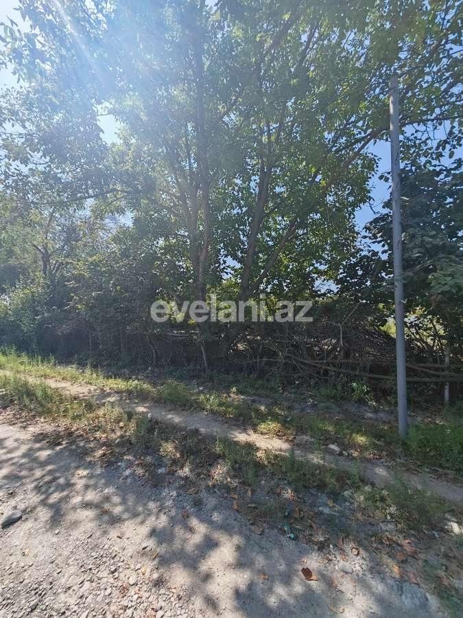 Satılır, torpaq, 45 sot, Qəbələ