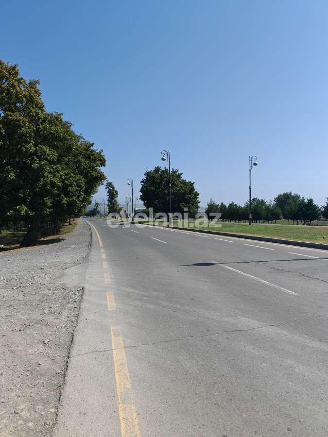 Satılır, torpaq, 45 sot, Qəbələ