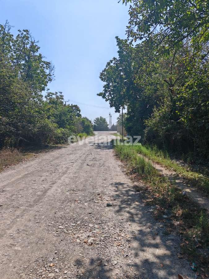 Satılır, torpaq, 45 sot, Qəbələ