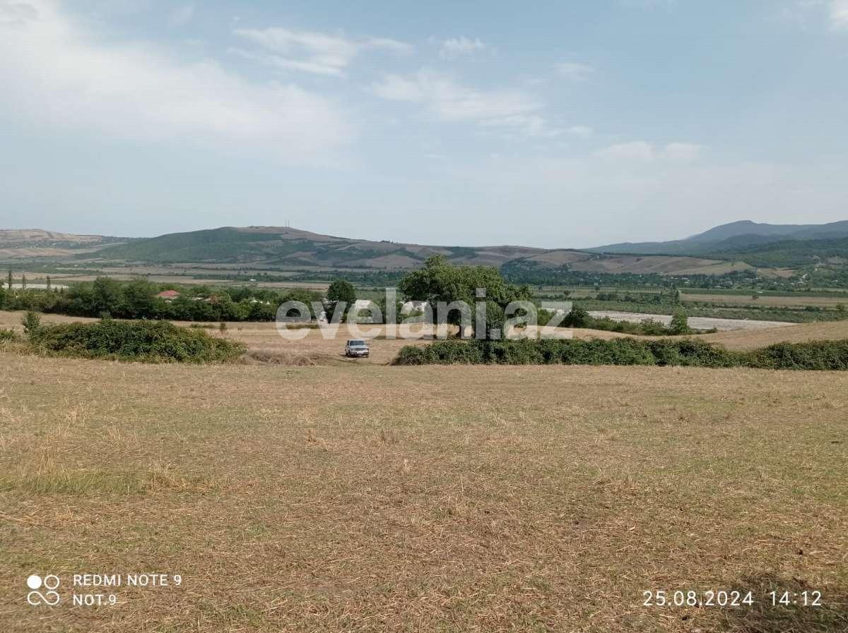 Satılır, torpaq, 30 sot, Quba