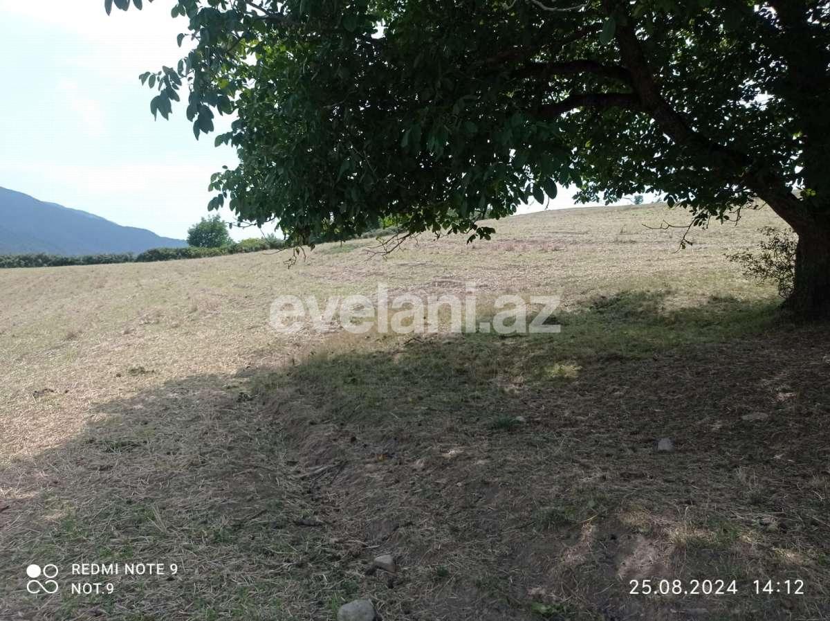 Satılır, torpaq, 30 sot, Quba