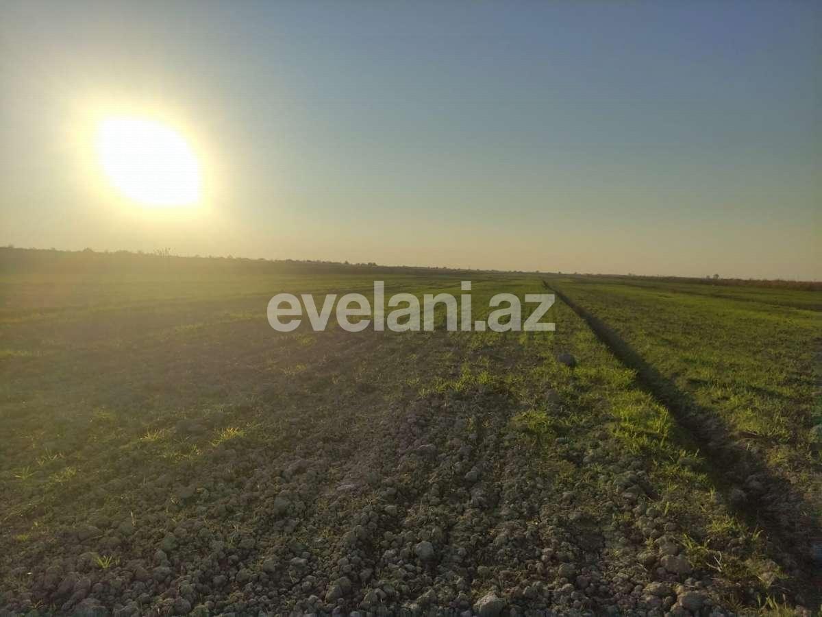 Satılır, torpaq, 326 sot, Göyçay