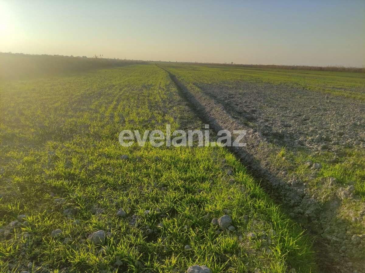 Satılır, torpaq, 326 sot, Göyçay