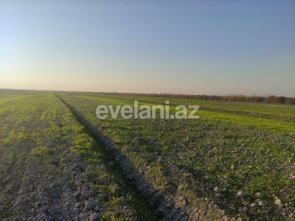 Satılır, torpaq, 326 sot, Göyçay