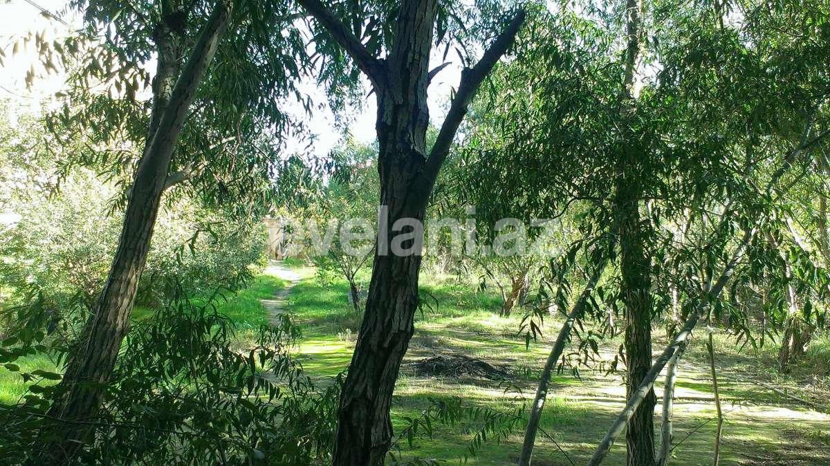 Satılır, torpaq, 18 sot, Bakı, Xətai r, Həzi Aslanov q, Həzi Aslanov m.