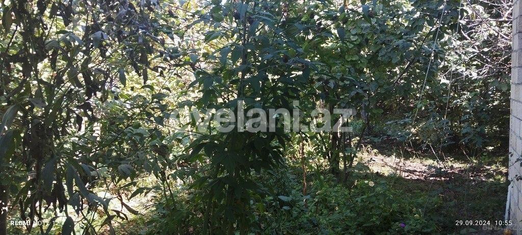 Satılır, torpaq, 4 sot, İsmayıllı