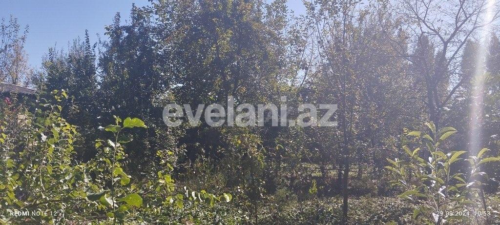 Satılır, torpaq, 4 sot, İsmayıllı