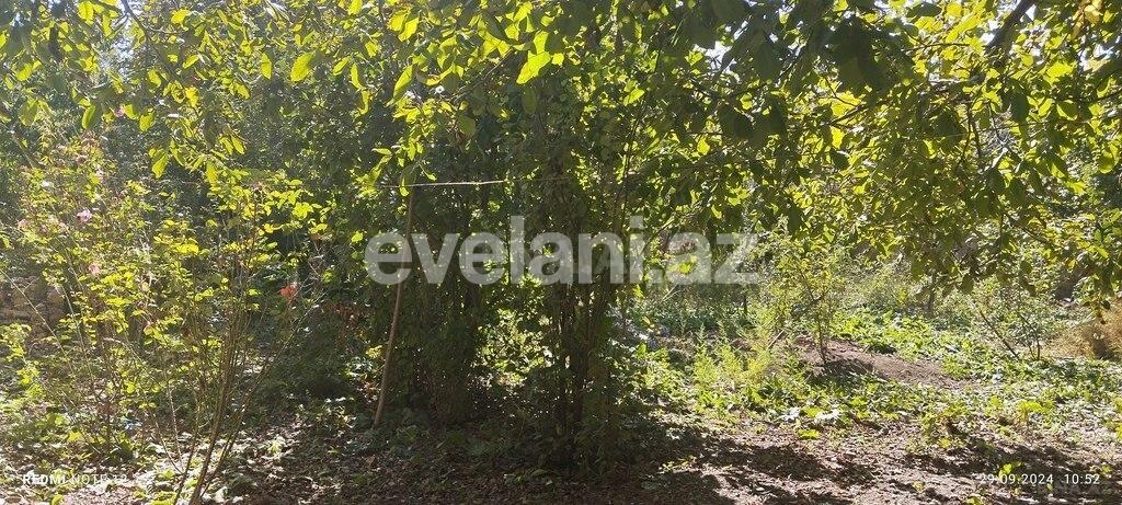 Satılır, torpaq, 4 sot, İsmayıllı