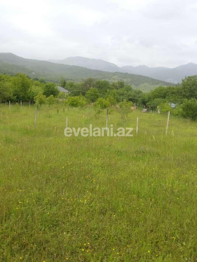 Satılır, torpaq, 50 sot, İsmayıllı