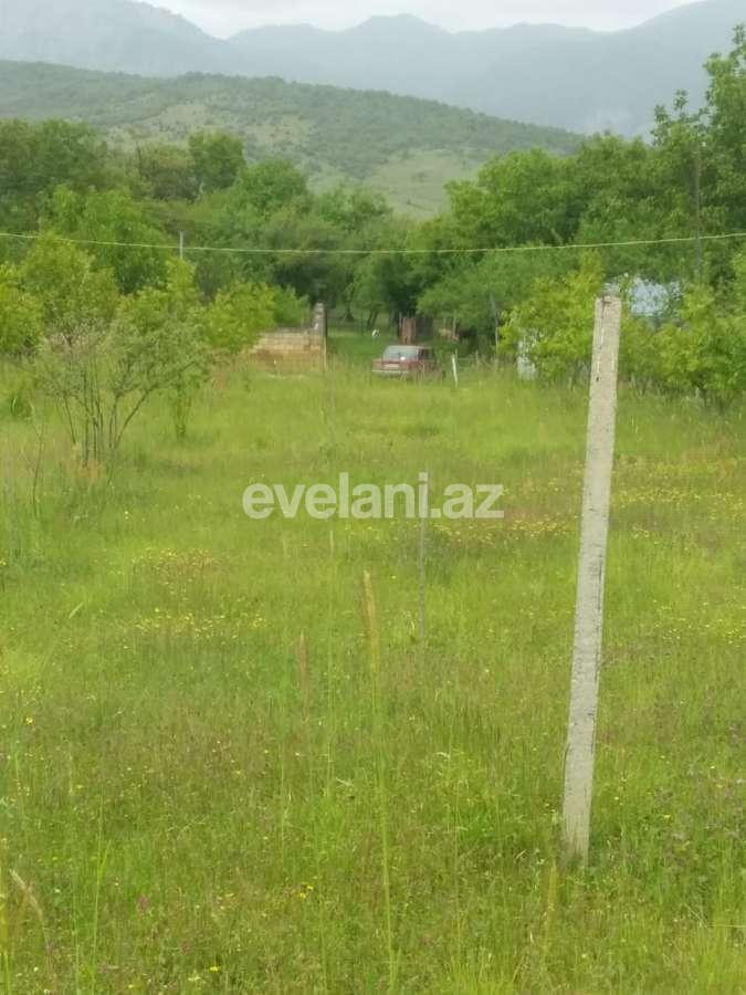 Satılır, torpaq, 50 sot, İsmayıllı