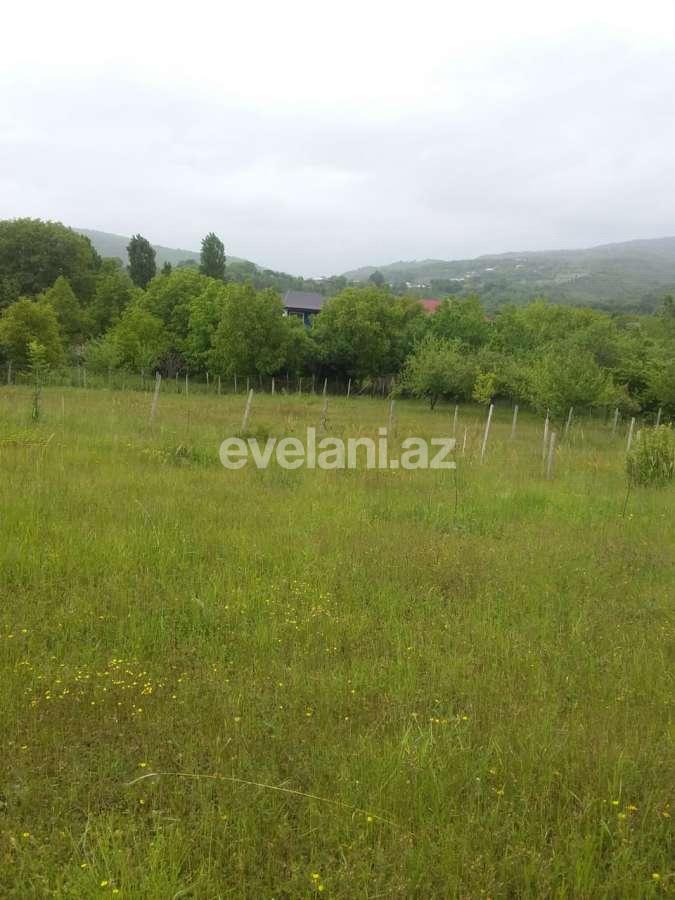 Satılır, torpaq, 50 sot, İsmayıllı
