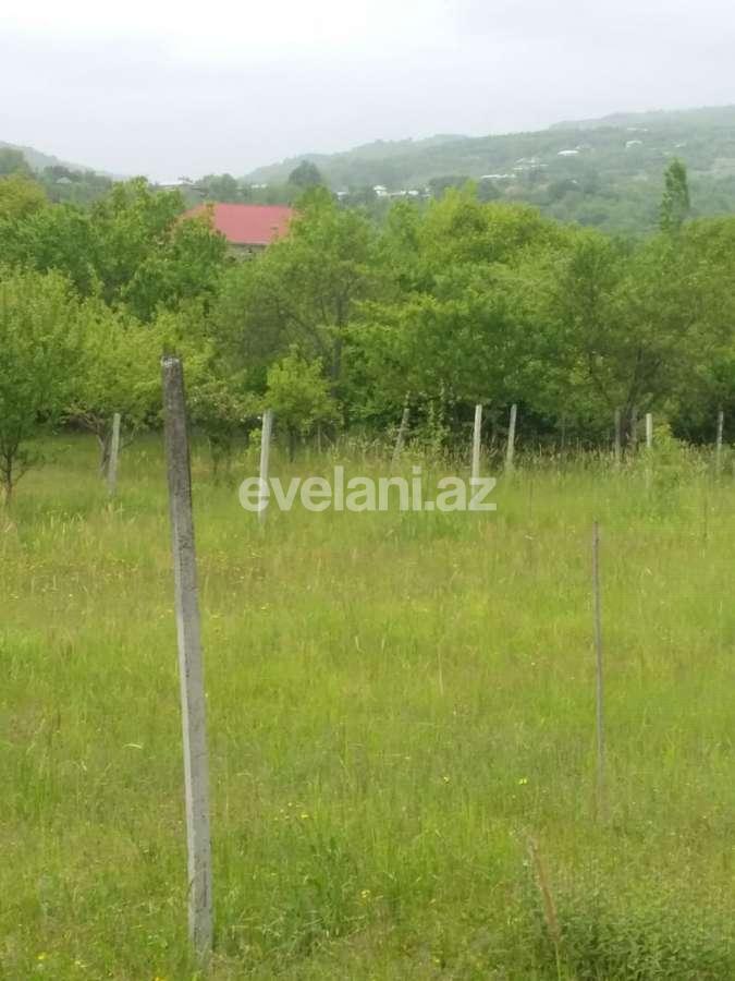 Satılır, torpaq, 50 sot, İsmayıllı