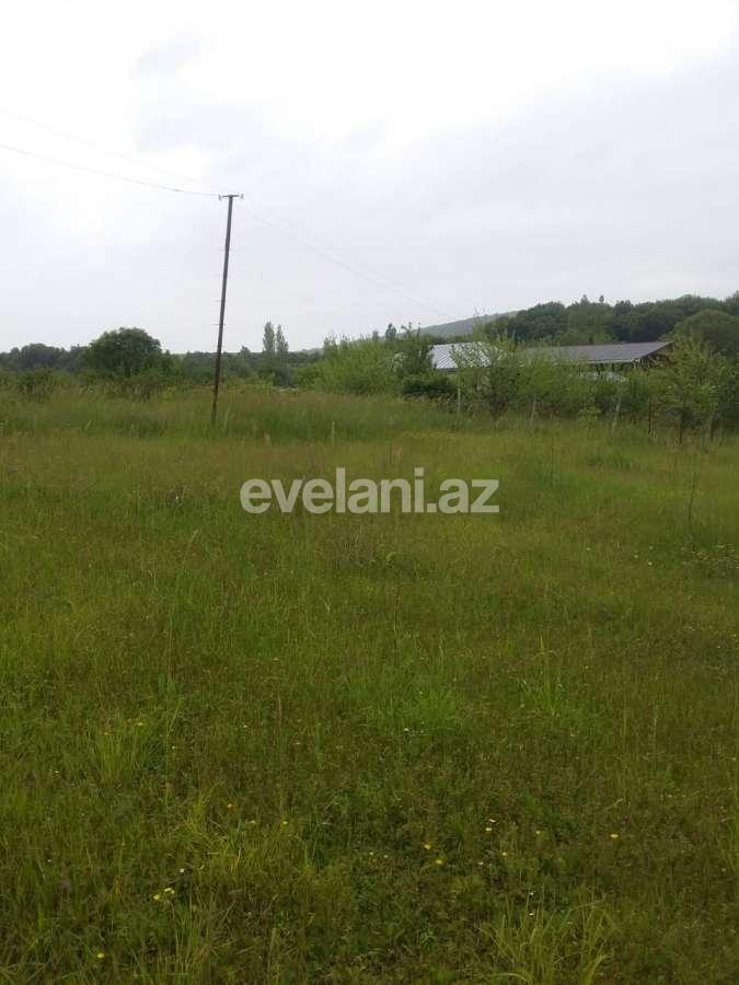 Satılır, torpaq, 50 sot, İsmayıllı