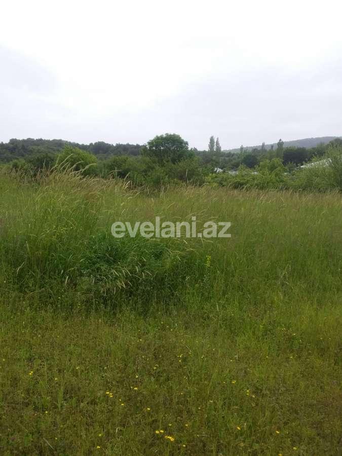 Satılır, torpaq, 50 sot, İsmayıllı
